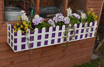 Window Box - Purple