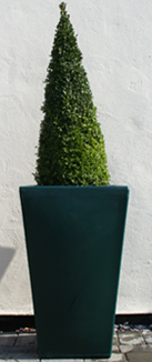 Cambridge Tall Garden Planter - Green