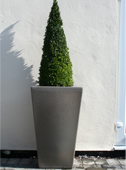 Cambridge Tall Garden Planter - Millstone Grit