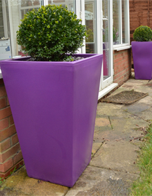 Large Cambridge planter in Purple