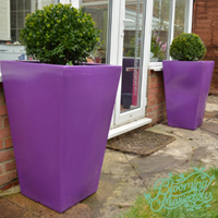 Large Cambridge planter in Purple