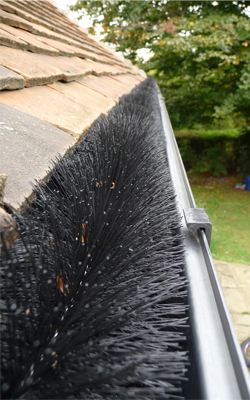 Gutter Brush