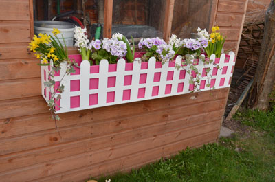 Window Box - Pink