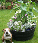 Barrel Garden Planters