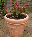 Traditional Garden Planter