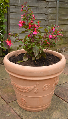 Mediterranean Traditional Planter 