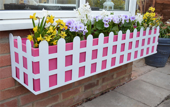 Window Box - Pink